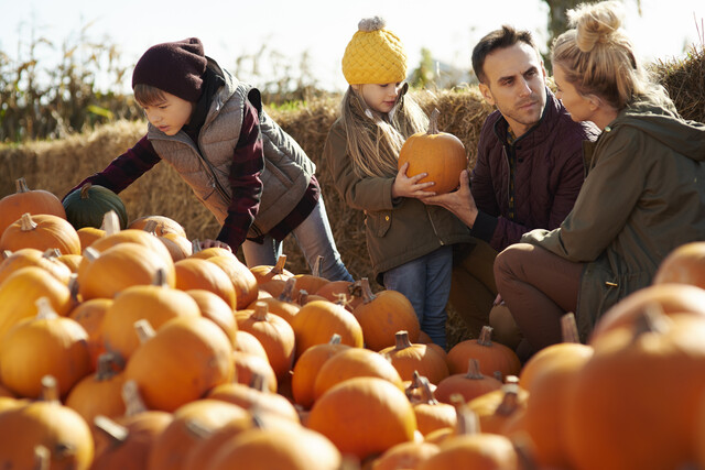 Fattoria della Zucca