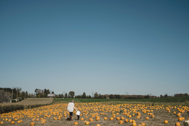 Fattoria della Zucca