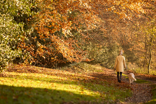 Passeggiate autunnali