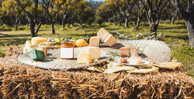 formaggi artigianali