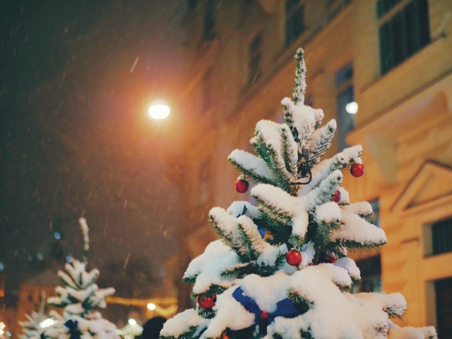 Presepe dei Netturbini